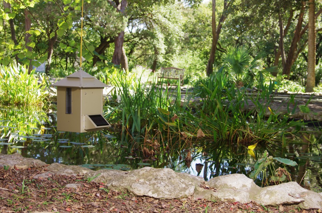 Koi Café - Automatic Koi Feeder - Best Automatic Koi Fish Feeder in Texas