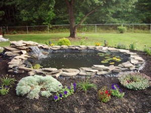 Ultimate Koi Pond Design. This what every home owner wishes they could add into their home. (Photo courtesy pondbiz.com via Andre Manily Sr.)