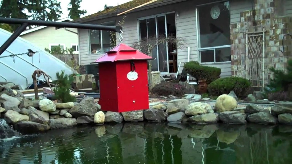 koi pond feeder