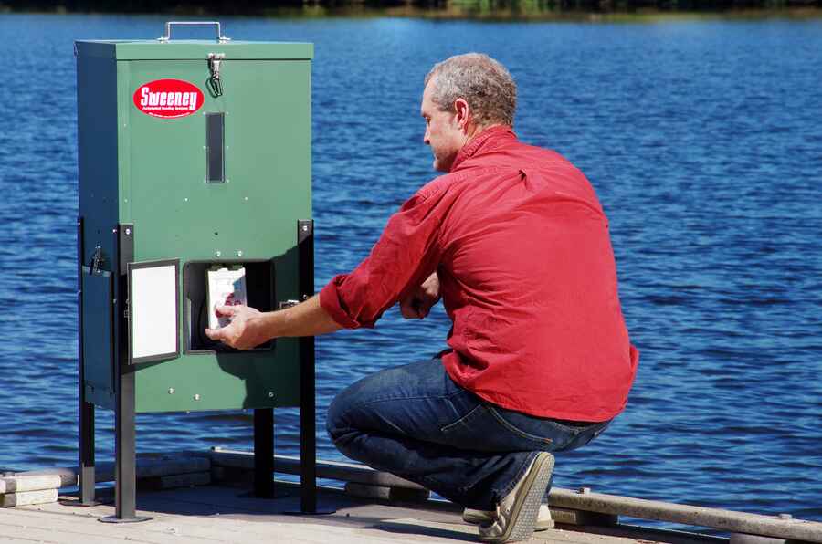Top 5 Fish Feeder Features